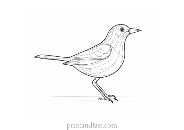 bird coloring page easy