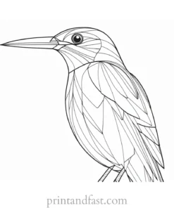 bird coloring page for adults