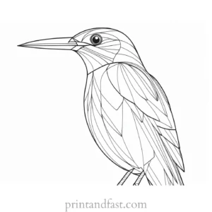 bird coloring page for adults