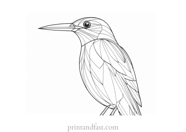 bird coloring page for adults