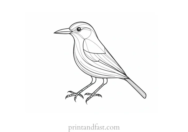 bird coloring page for all ages