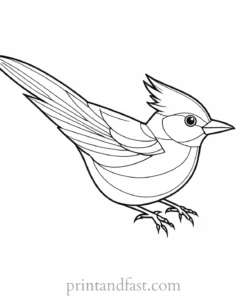 bird coloring page for kids