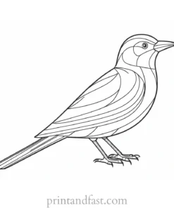 bird coloring page for older kids