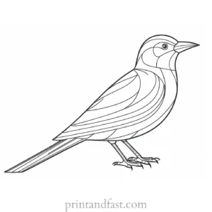 bird coloring page for older kids