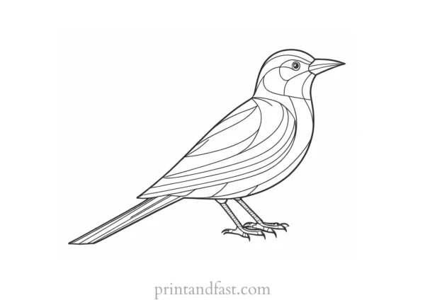 bird coloring page for older kids