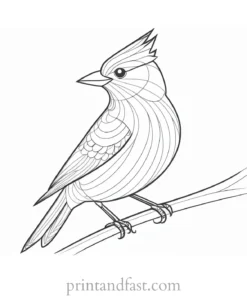 bird coloring page for preschoolers