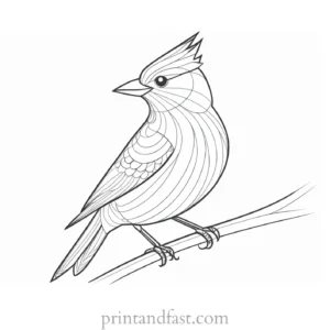 bird coloring page for preschoolers