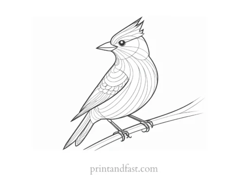 bird coloring page for preschoolers