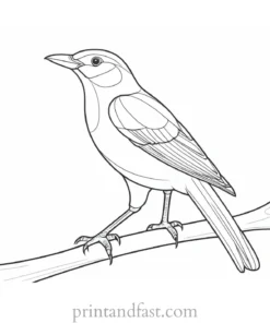 bird coloring page for toddlers