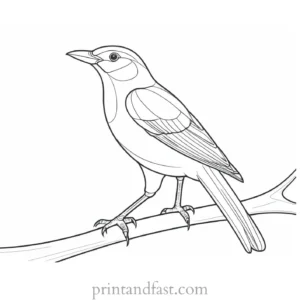 bird coloring page for toddlers