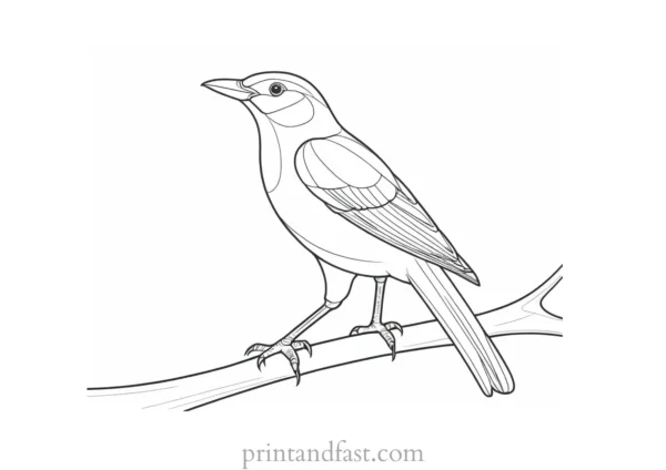 bird coloring page for toddlers