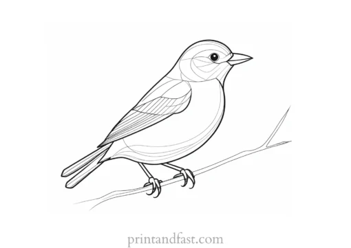 bird coloring page free