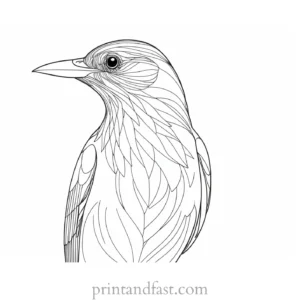 bird coloring page high resolution