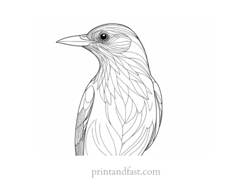 bird coloring page high resolution