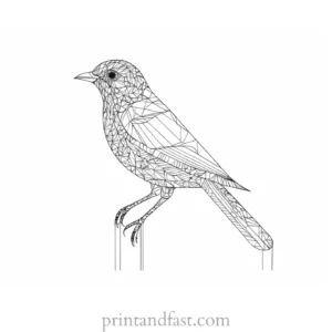 bird coloring page intricate