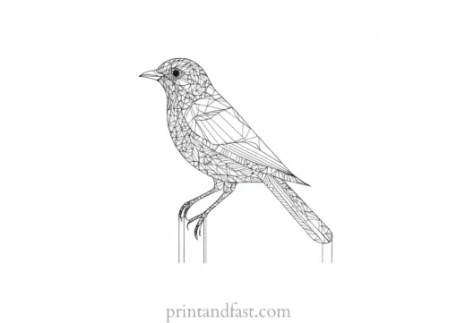 bird coloring page intricate