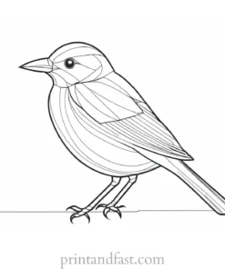 bird coloring page online