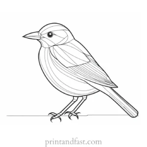 bird coloring page online