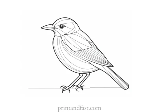 bird coloring page online