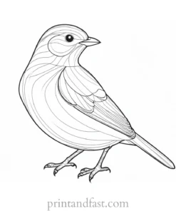 bird coloring page realistic