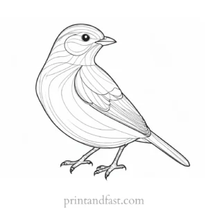 bird coloring page realistic