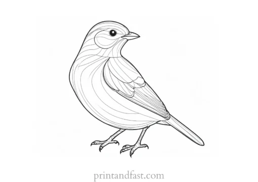 bird coloring page realistic