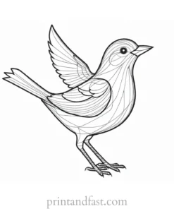 bird coloring page simple