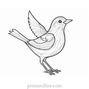 bird coloring page simple