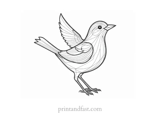 bird coloring page simple