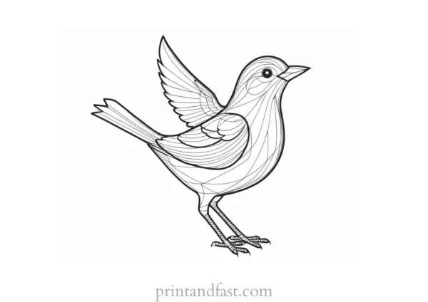 bird coloring page simple