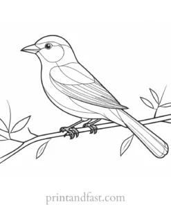 bird coloring page with branch