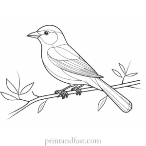 bird coloring page with branch