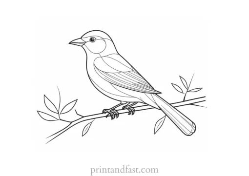 bird coloring page with branch