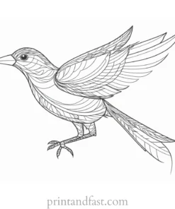 bird coloring page with feathers