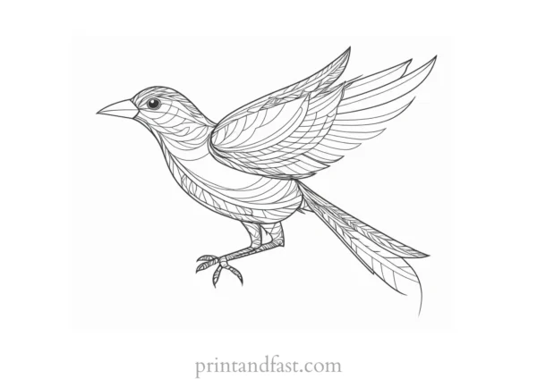 bird coloring page with feathers