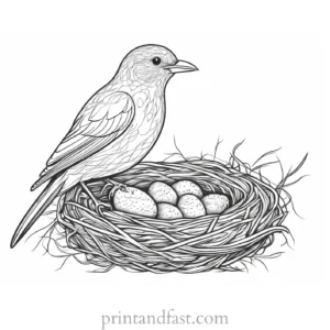 bird coloring page with nest