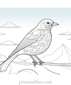 bird coloring page with sky