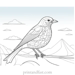 bird coloring page with sky