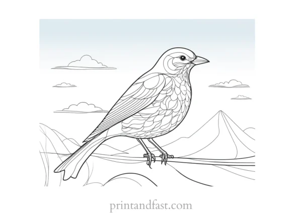 bird coloring page with sky