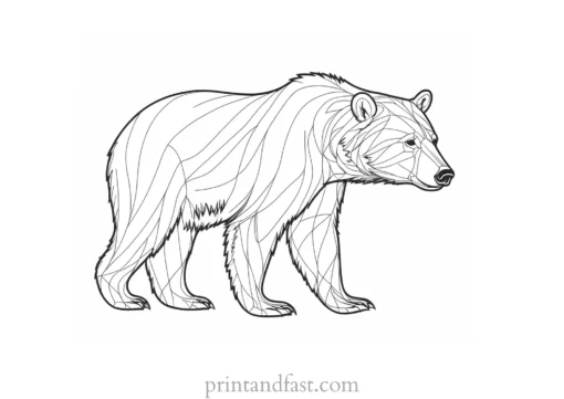 black Bear Coloring Page