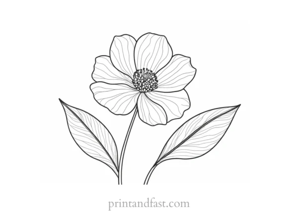 botanical flower coloring page