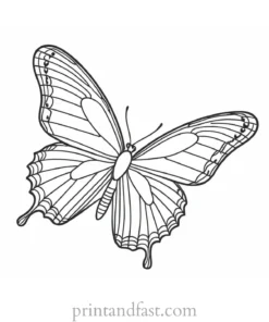 butterfly coloring page beautiful