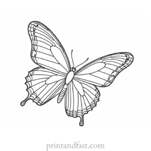 butterfly coloring page beautiful