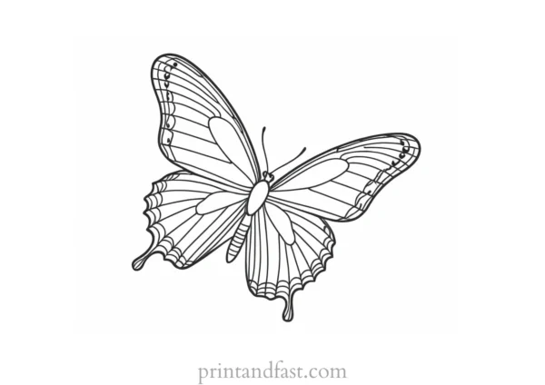 butterfly coloring page beautiful