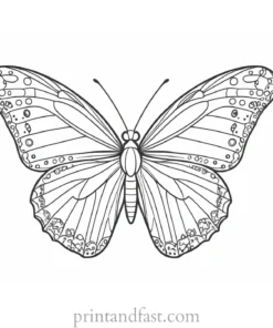 butterfly coloring page detailed