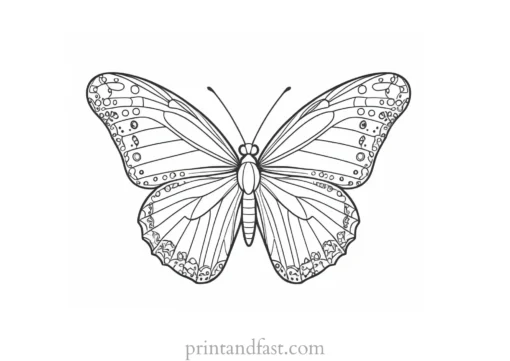 butterfly coloring page detailed