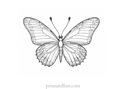 butterfly coloring page easy