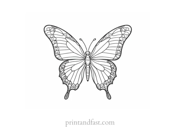 butterfly coloring page for kids