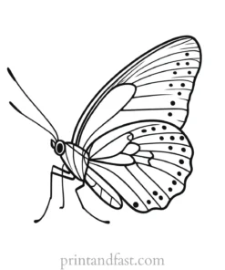 butterfly coloring page for preschoolers