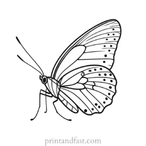 butterfly coloring page for preschoolers